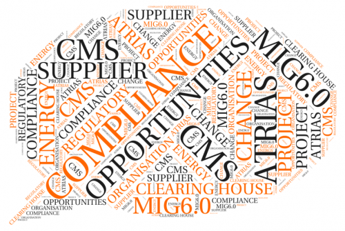 MIG6.0 Implementation in Utilities sector