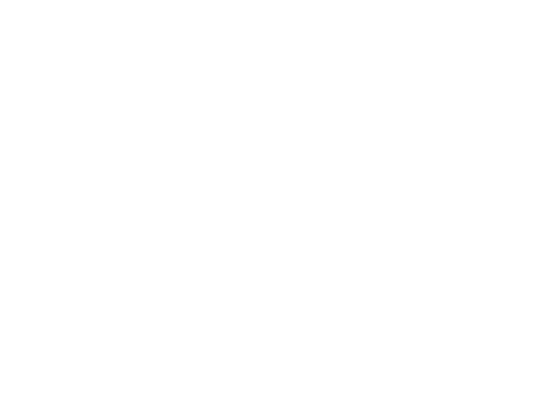 Essent wit.png