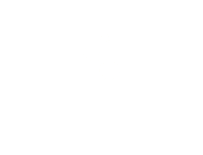 Fluxys