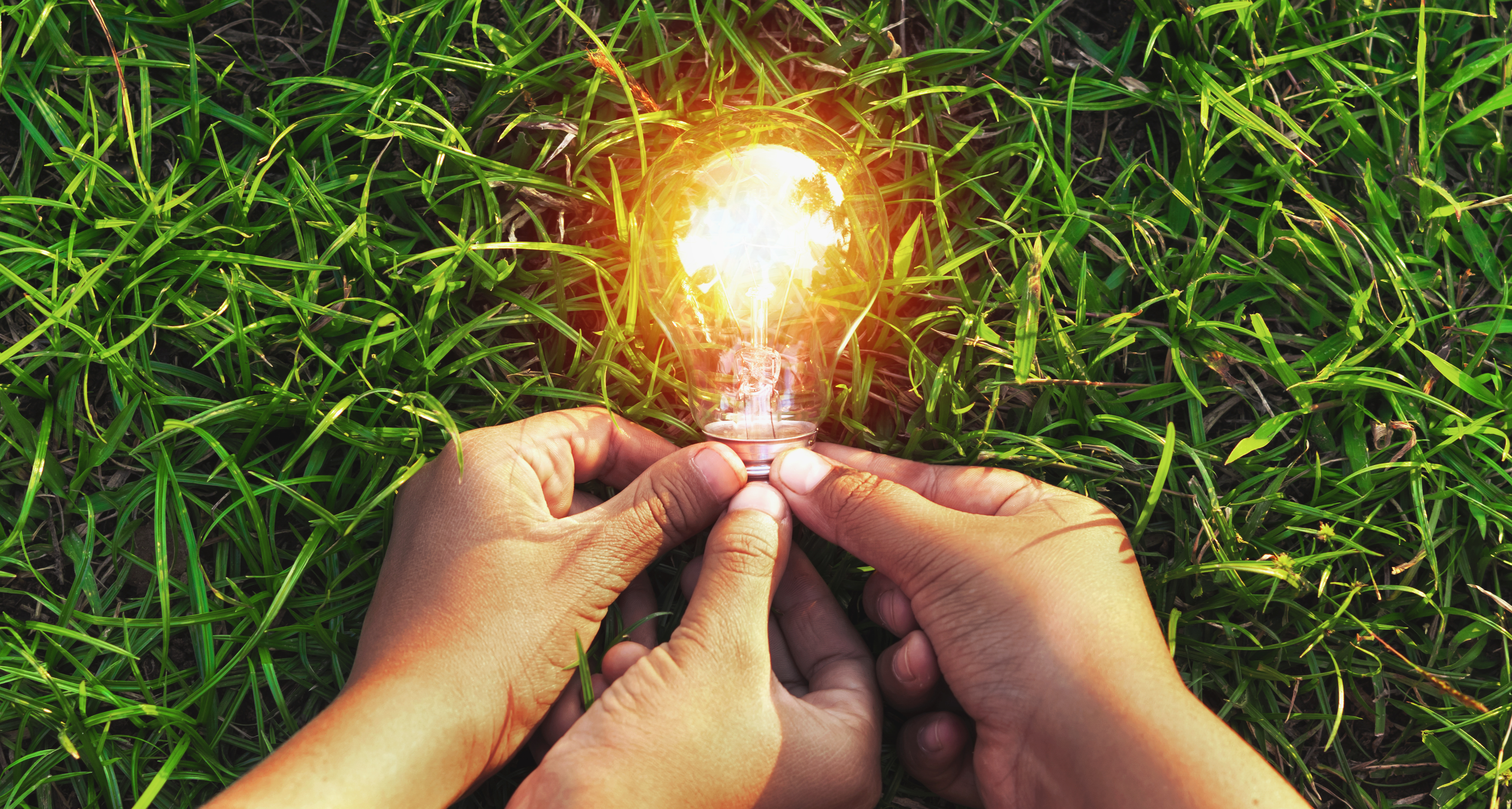 Utilities Business Transformation Services-1.png