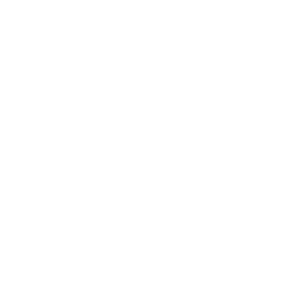 Brussel Airport company white.png