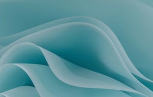 Creating a strategic roadmap for Randstad Group’s digital HR landscape