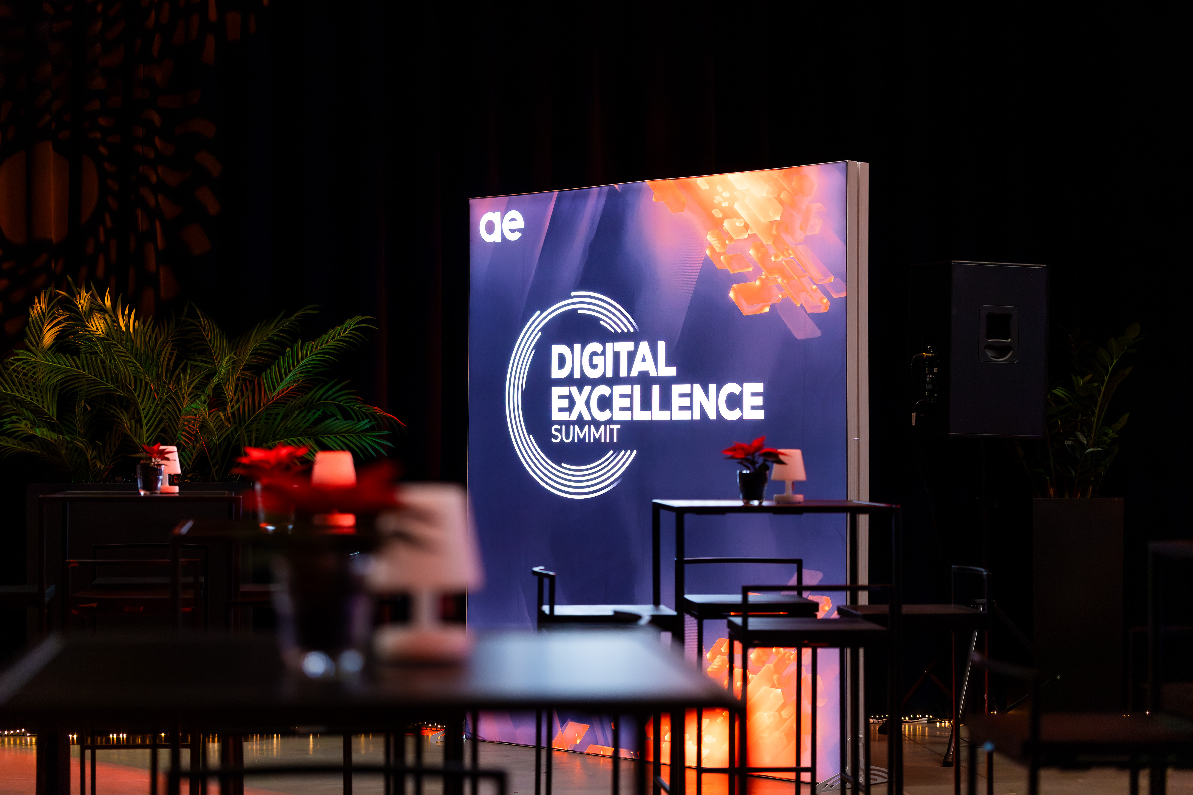 Digital Excellence Summit 2025-1