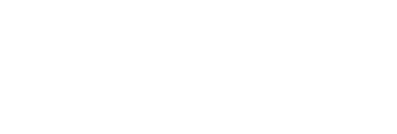 Flemish education logo white