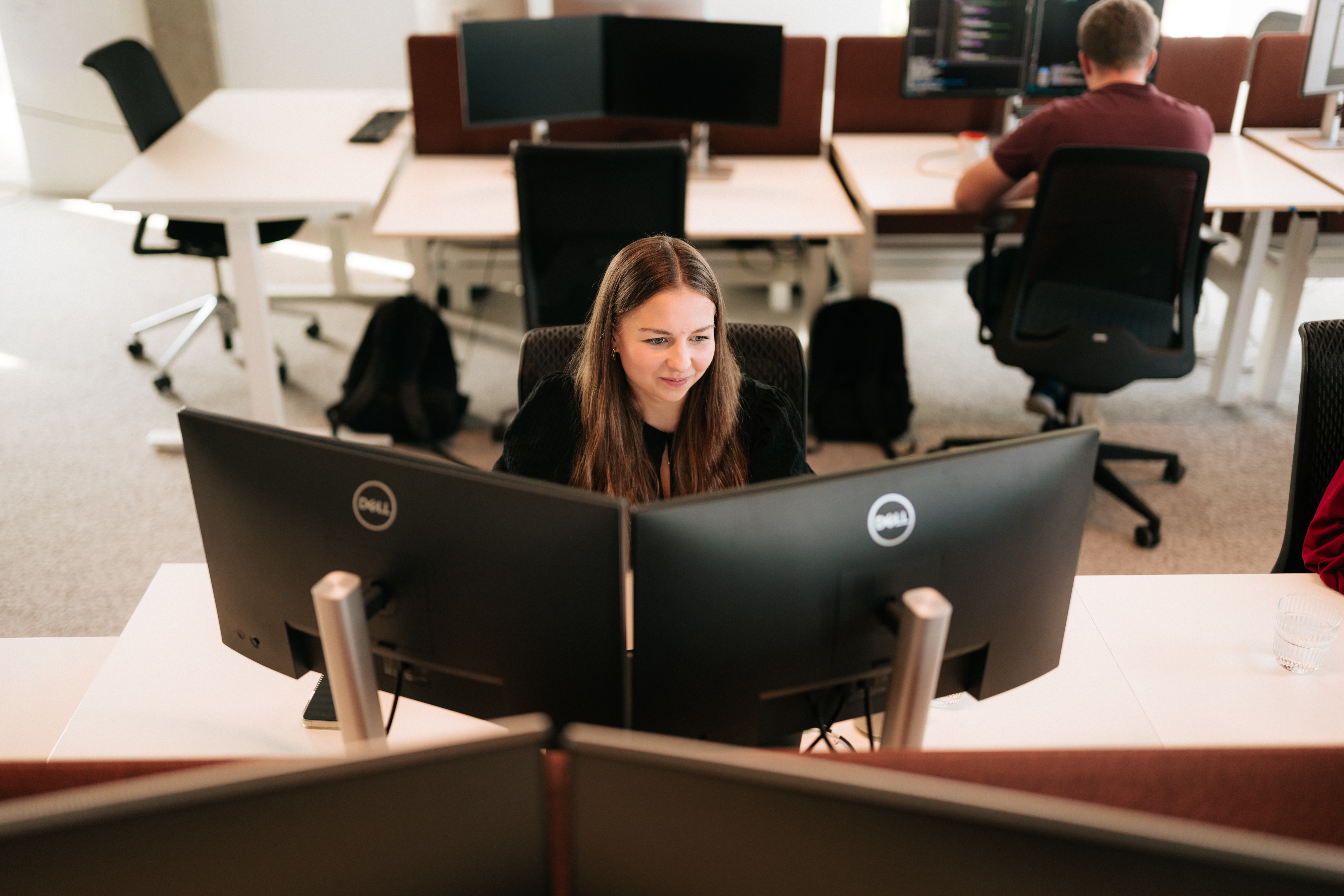 AI in the SDLC process