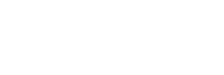 Mediagenix logo white