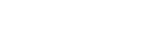 AE - Partner in Digital Excellence