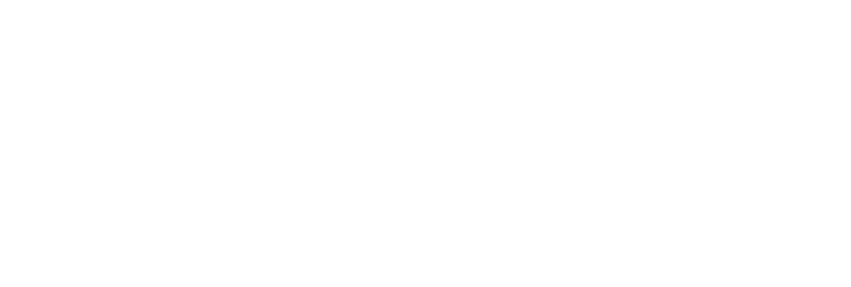Q8 logo white