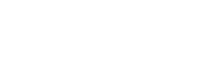 billit logo white
